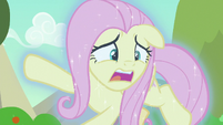 Fluttershy "where are they taking us?!" S8E23