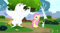 Fluttershy and Angel looking at Bulk S4E10