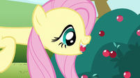 Fluttershy biting hold S3E3