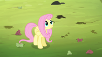 Fluttershy looking up at the bats S4E7