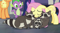 Fluttershy reconciles with the raccoons S8E4