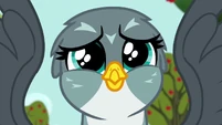 Gabby can't wait to meet the Crusaders S6E19.png (857 KB)