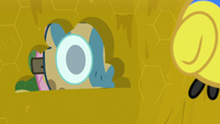 Masked Fluttershy peering into the beehive S7E20