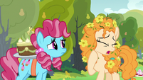 Pear Butter "I can't help it" S7E13