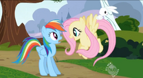 Fluttershy se enorgullece de que Rainbow Dash quiere una mascota.