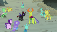 Ponies and changelings cheering for Pharynx S7E17