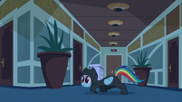 Rainbow Dash sneaking around.