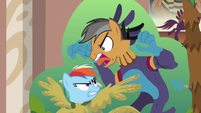 Rainbow and Quibble in Daring Do face cutout board S6E13
