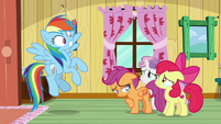 Rainbow shocked by Apple Bloom's news S9E12