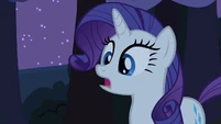 Rarity is surprised at what has happened...