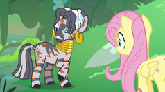 Zecora notices she's covered in orange spots S7E20.png