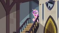 Cadance near the staircase S2E25