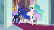 Celestia and Luna enter the throne room S9E2