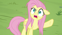 Fluttershy "what exactly is that supposed to mean?!" S9E18