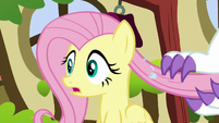 Fluttershy realizes something is wrong S5E13