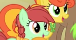 Honey Dew ID S4E14