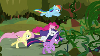 Mane Six charging toward the vines S9E2