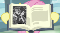 Picture of Daring Do destroying spider webs S9E21