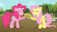 Pinkie and Fluttershy enjoying some cider together