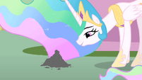 Princess Celestia talking to Philomena's ashes S01E22