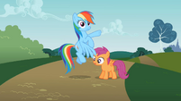 Rainbow Dash is surprised.