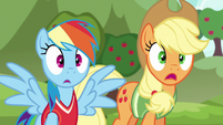 Rainbow and Applejack shocked by Snails S6E18