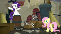 Rarity "But what are they doing here?" S6E9