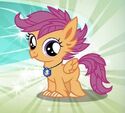 Hippogriff, My Little Pony (mobile game)