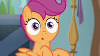 Scootaloo hears a knock at the door S9E12