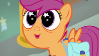 Scootaloo with stars in her eyes S7E7