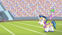 Spike jumps from Shining Armor's back S4E24