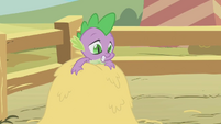 Spike on a haystack S1E13