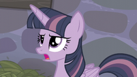 Twilight "but I'm pretty sure Meadowbrook only had eight magical items" S5E02
