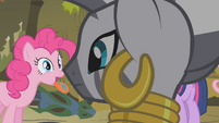 Zecora turns to look at Pinkie S1E09