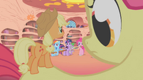 Camera zooms out to show Apple Teeny on Apple Bloom's back S1E09