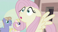 Fluttershy "I'd like to join!" S5E02