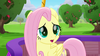 Fluttershy "has anypony seen Twilight?" MLPRR