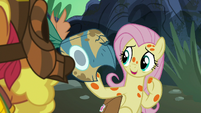 Fluttershy "this mask has the same stripes" S7E20