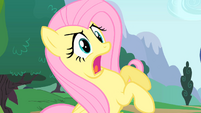 Fluttershy inhaling deeply in an attempt to give a loud cheer.