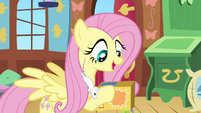 Fluttershy feeding S02E19