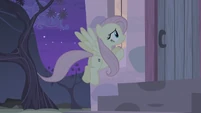 Fluttershy definitely would never win in "hide-and-seek".