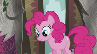 Pinkie sees the book S5E8