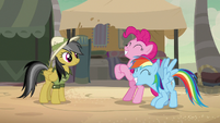 Rainbow Dash and Pinkie Pie very thrilled S7E18