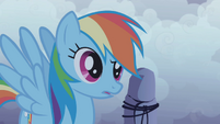 Rainbow Dash puzzled S1E02