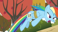 Whoa! I tripped over with my left hoof gone. (Animation error)