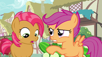 Scootaloo had your chance S3E4