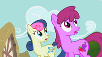 Sweetie Drops and Berryshine look at Rainbow Dash S2E8