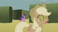 Ah, there you are, Applejack!