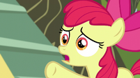 Apple Bloom doesn't want her friends to go S5E4