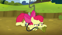 Apple Bloom lightly smoldering S5E4